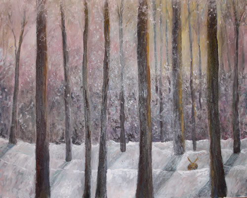 Winter Sunshine