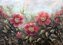 Prairie Rose