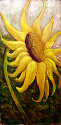 Helianthus